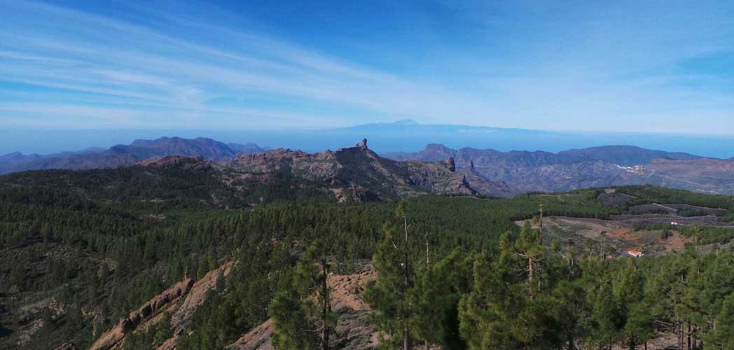 25 años defendiendo la diversidad del ecosistema de Canarias