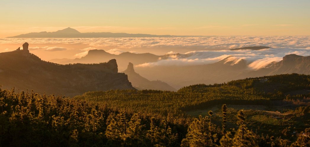 Hacia un turismo regenerativo, responsable y comprometido con Canarias