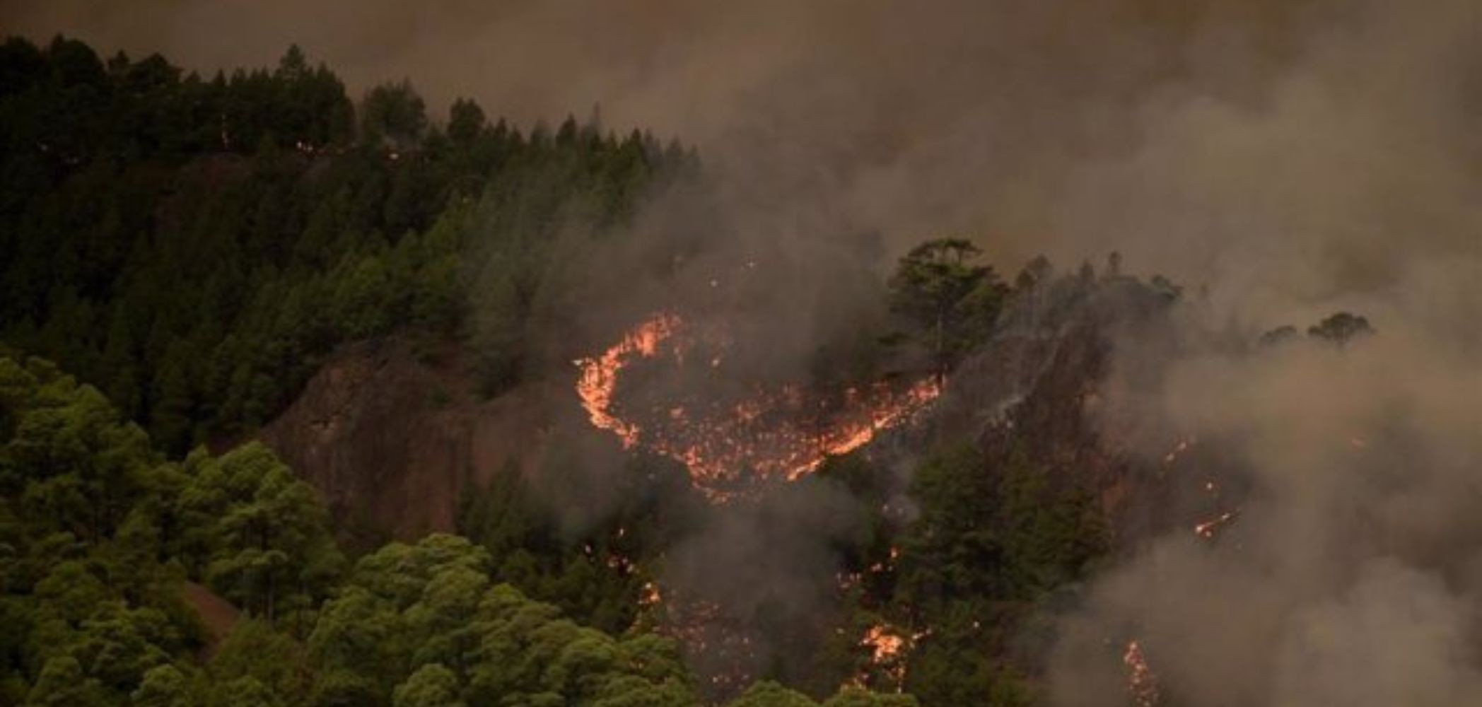 El Círculo de Gran Canaria traslada su apoyo y fuerza a Tenerife por el incendio